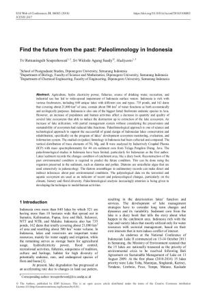 Paleolimnology in Indonesia