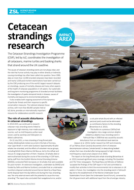 Cetacean Strandings Research