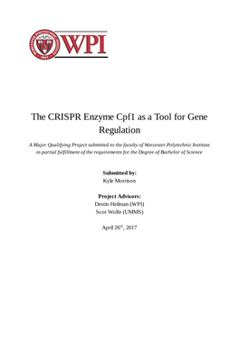 The CRISPR Enzyme Cpf1 As a Tool for Gene Regulation