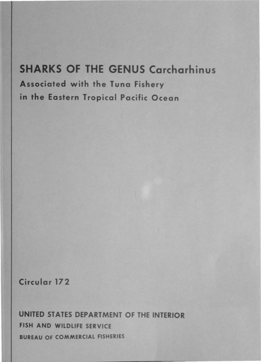 SHARKS of the GENUS Carcharhinus Associated with the Tuna Fishery in the Eastern Tropical Pacific Ocean