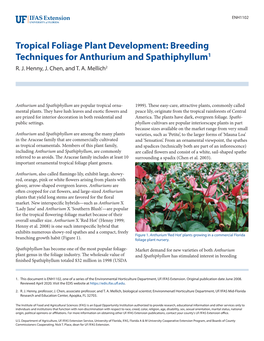 Tropical Foliage Plant Development: Breeding Techniques for Anthurium and Spathiphyllum1 R