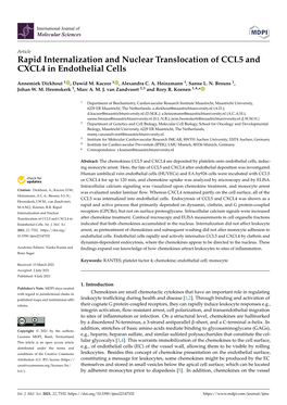 Rapid Internalization and Nuclear Translocation of CCL5 and CXCL4 in Endothelial Cells
