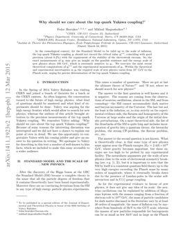 Why Should We Care About the Top Quark Yukawa Coupling?1