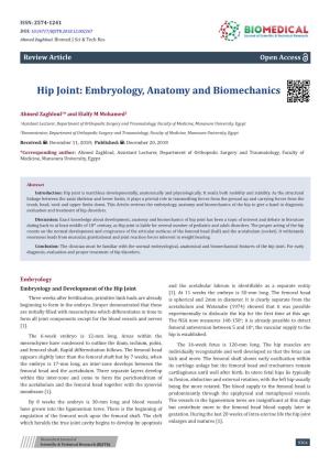 Hip Joint: Embryology, Anatomy and Biomechanics