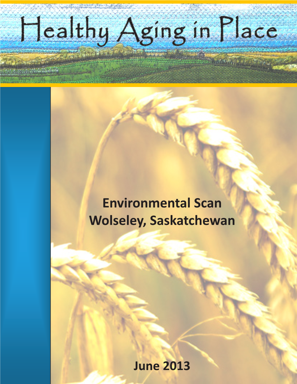 Healthy Aging in Place: Environmental Scan, Wolseley, Saskatchewan