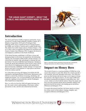 The Asian Giant Hornet—What the Public and Beekeepers Need to Know