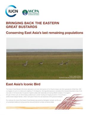 Bringing Back the Eastern Great Bustards