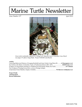 Marine Turtle Newsletter Issue Number 137 April 2013