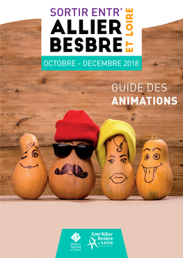 Guide Des Animations