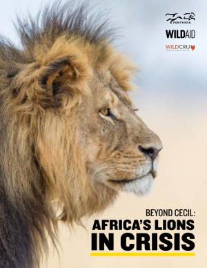 BEYOND CECIL: AFRICA’S LIONS in CRISIS | Page - 1 the CECIL EFFECT