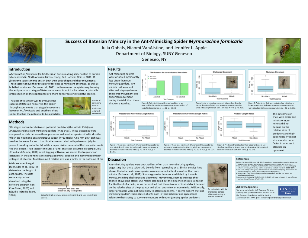 085Â•Fl Success of Batesian Mimicry in the Ant-Mimicking Spider