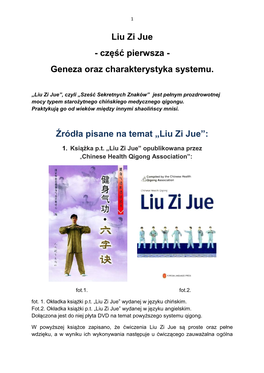 Liu Zi Jue - Część Pierwsza - Geneza Oraz Charakterystyka Systemu