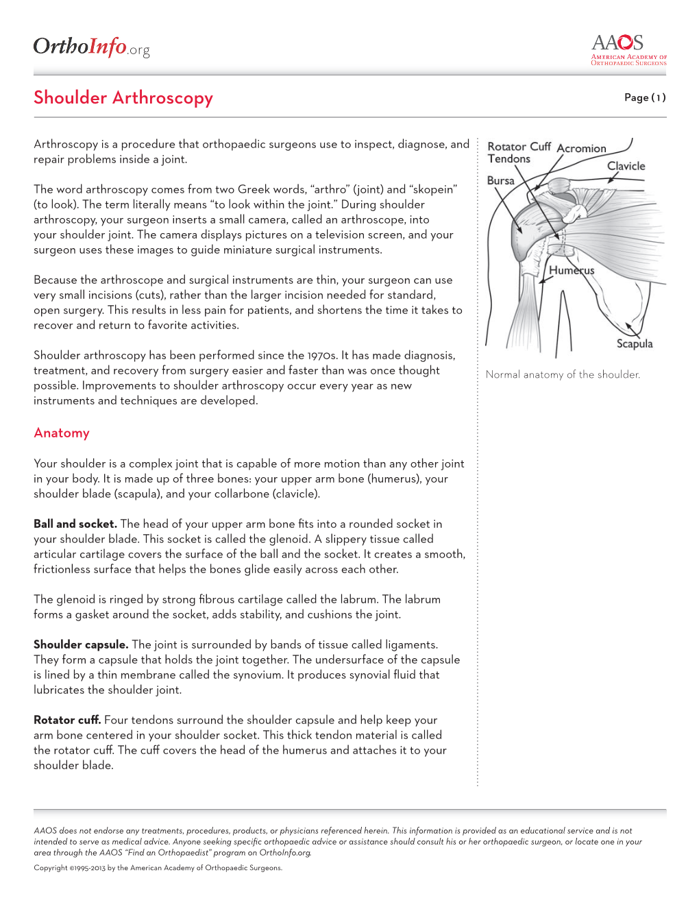 Shoulder Arthroscopy Page ( 1 )