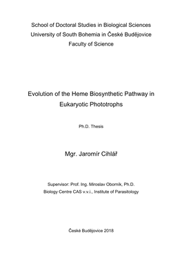 Evolution of the Heme Biosynthetic Pathway in Eukaryotic Phototrophs