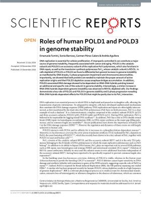 Roles of Human POLD1 and POLD3 in Genome Stability Emanuela Tumini, Sonia Barroso, Carmen Pérez-Calero & Andrés Aguilera