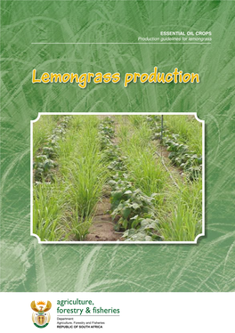 Lemongrass Production