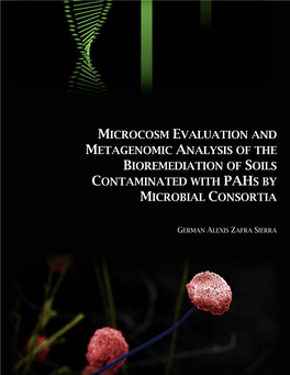 Microcosm Evaluation and Metagenomic Analysis of the Bioremediation of Soils Contaminated with Pahs by Microbial Consortia