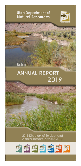 Annual Report 2019