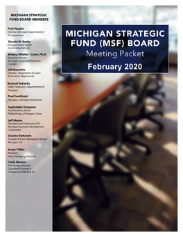 Michigan Strategic Fund (Msf)