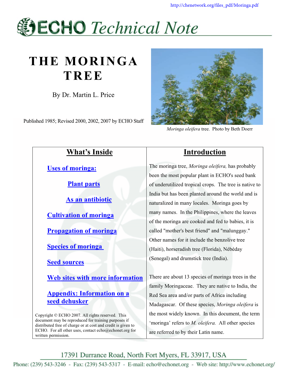 The Moringa Tree