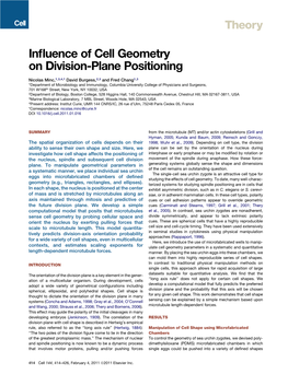 Influence of Cell Geometry on Division-Plane Positioning