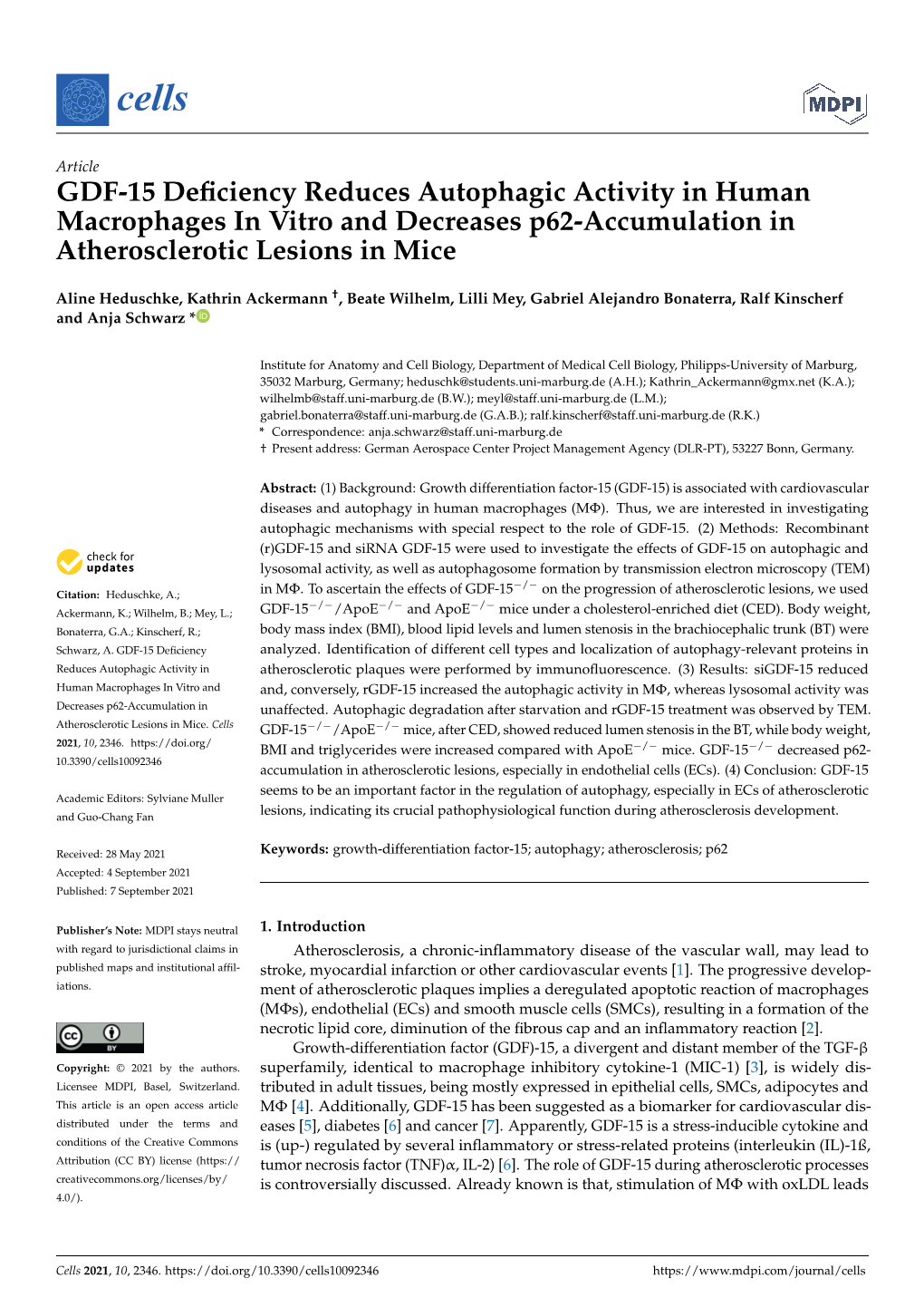 GDF-15 Deficiency Reduces Autophagic Activity in Human