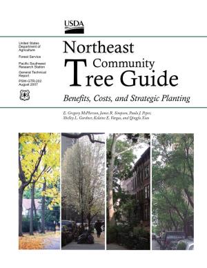 Northeast Community Tree Guide: Benefits, Costs, and Strategic Planting by E