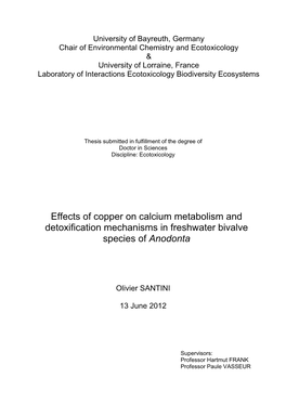 Effects of Copper on Calcium Metabolism and Detoxification Mechanisms in Freshwater Bivalve Species of Anodonta