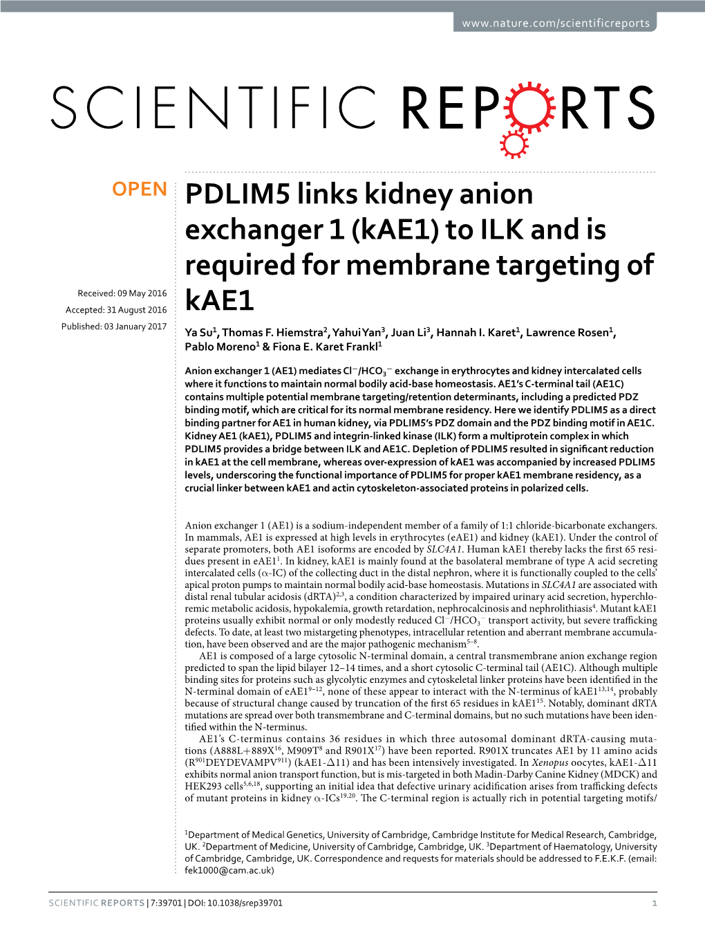 PDLIM5 Links Kidney Anion Exchanger 1 (Kae1) to ILK and Is Required For
