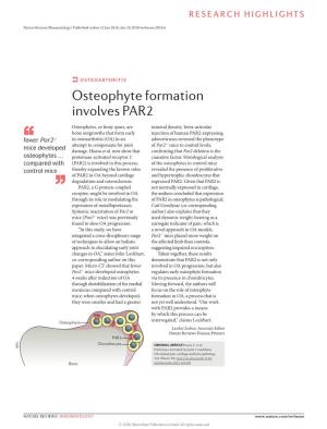 Osteophyte Formation Involves PAR2