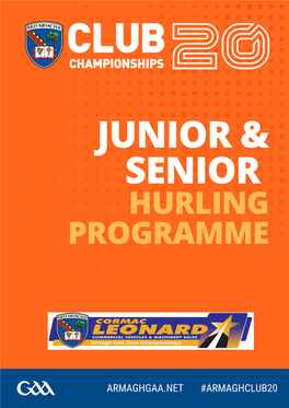 Hurling Programme