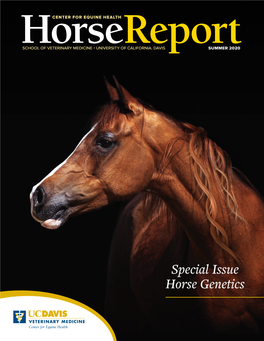 Special Issue Horse Genetics DIRECTOR’S Message