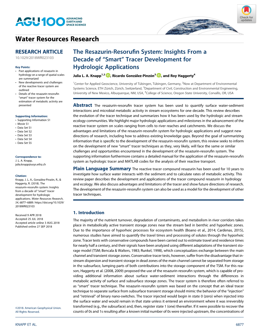 The Resazurin‐Resorufin System: Insights from a Decade of “Smart”