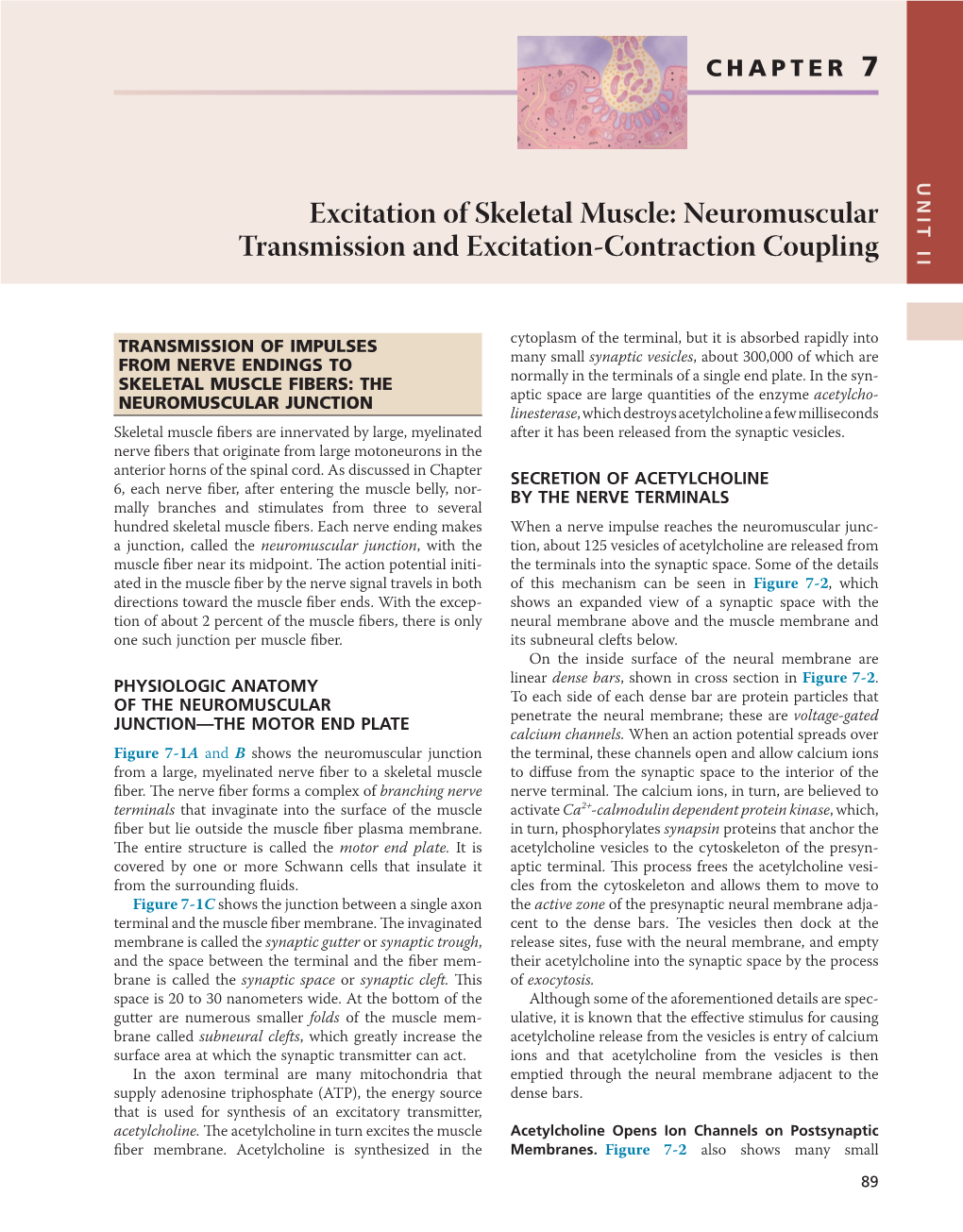 Chapter 7 Excitation of Skeletal Muscle: Neuromuscular Transmission and Excitation-Contraction Coupling