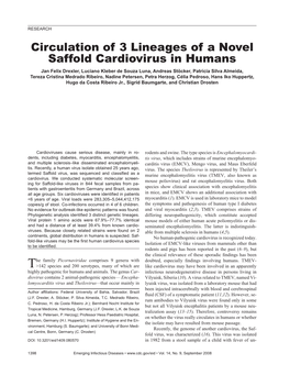 Circulation of 3 Lineages of a Novel Saffold Cardiovirus in Humans