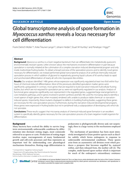 Global Transcriptome Analysis of Spore Formation in Myxococcus Xanthus