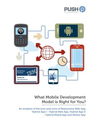 What Mobile Development Model Is Right for You?