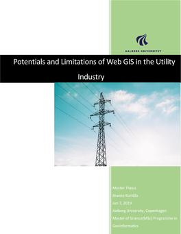 Potentials and Limitations of Web GIS in the Utility Industry