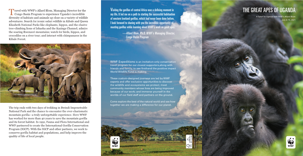 THE GREAT APES of UGANDA T Congo Basin Program to Experience Uganda’S Incredible My Life