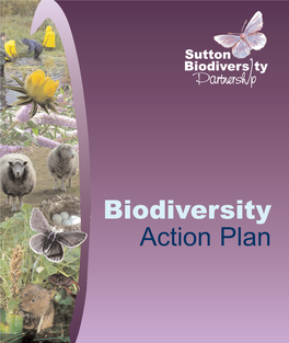 Sutton's Biodiversity Action Plan