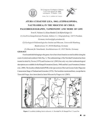 ATURIA CUBAENSIS (LEA, 1841) (CEPHALOPODA, NAUTILOIDEA) in the MIOCENE of CHILE: PALEOBIOGEOGRAPHY, TAPHONOMY and MODE of LIFE Sven N