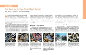 Sea Level and Its Effects on Reefs in Hawaiÿi