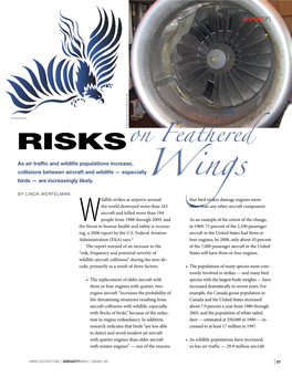 Risks on Feathered Wings