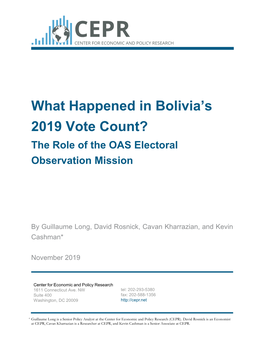 What Happened in Bolivia's 2019 Vote Count?