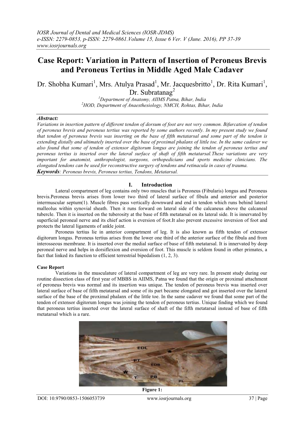 Variation in Pattern of Insertion of Peroneus Brevis and Peroneus Tertius in Middle Aged Male Cadaver