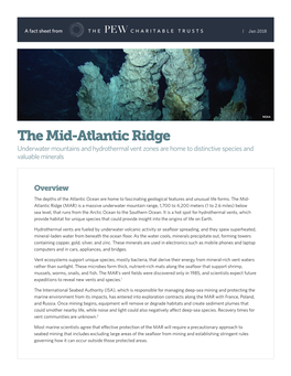 The Mid-Atlantic Ridge Underwater Mountains and Hydrothermal Vent Zones Are Home to Distinctive Species and Valuable Minerals