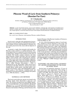 Pliocene Wood of Larix from Southern Primorye (Russian Far East) O