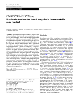 Brassinosteroid-Stimulated Branch Elongation in the Marubakaido Apple Rootstock