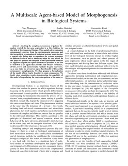 A Multiscale Agent-Based Model of Morphogenesis in Biological Systems