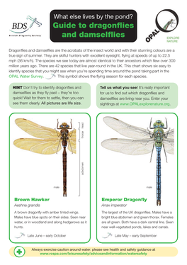 OPAL: Guide to Dragonflies and Damselflies